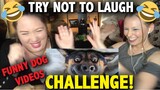 *Try Not To Laugh Challenge* Funny Dogs Compilation [MUST SEE]