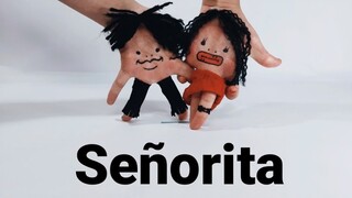 Fingers are dancing! Señorita, cover