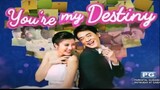 YOU'RE MY DESTINY EPISODE 21 (TAGALOG DUBBED)