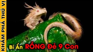 🔥 Bí Ẩn 9 Đứa Con Của Rồng Trong Truyền Thuyết Long Sinh Cửu Phẩm Mà 99% Mọi Người Chưa Biết | KPTV