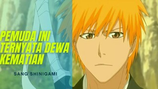 Ichigo Manusia yang Memiliki Kekuatan Shinigami