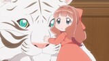 Fluffy Paradise Episode 8 English Subbed | Latest Episode English Subbed