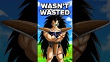 “Raditz was wasted”