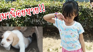 น้องดีไซน์ | หมาน้อยหายไปไหน??? หาเท่าไหร่ก็ไม่เจอ.....น้องดีไซน์ตกใจหนักมาก!!