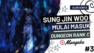 Sung jin woo mulai memahami dungeon didunianya. ALUR CERITA ANIME MANHWA OVERPOWER! SOLO LEVELING #3