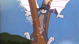 Open DNF sound effect in the way of Tom & Jerry