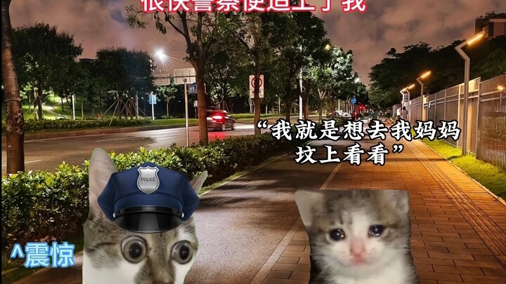 我想去妈妈的坟前看看