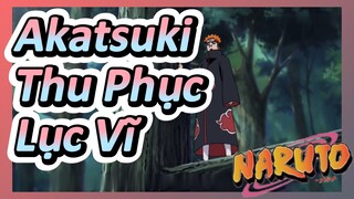 Akatsuki Thu Phục Lục Vĩ 