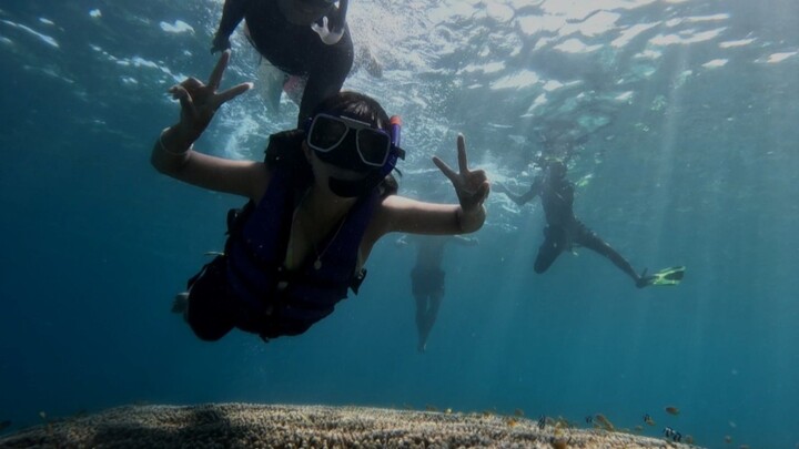 Just one of many beautiful corals in Cebu 🌊