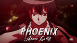 Akame ga Kill! - AMV The Phoenix