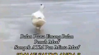 saya Banget ini