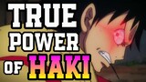 The True Power of Haki!? - One Piece Discussion | Tekking101