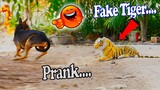 Fake Tiger Prank Dog Video || TRY NOT TO LAUGH CHALLENGE 2021 || Fake Tiger|| Funny Challenge Video