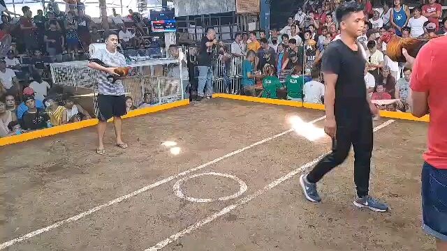 Vs Mayor Alvarez