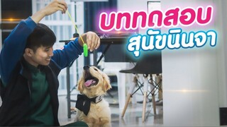 [รีอัพ] 6ภารกิจ พิชิตใจบอย...ฉลาดกว่าที่คิด!! || เพชร กะ บอย