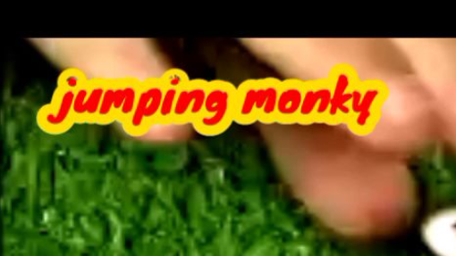 Jumping Monky