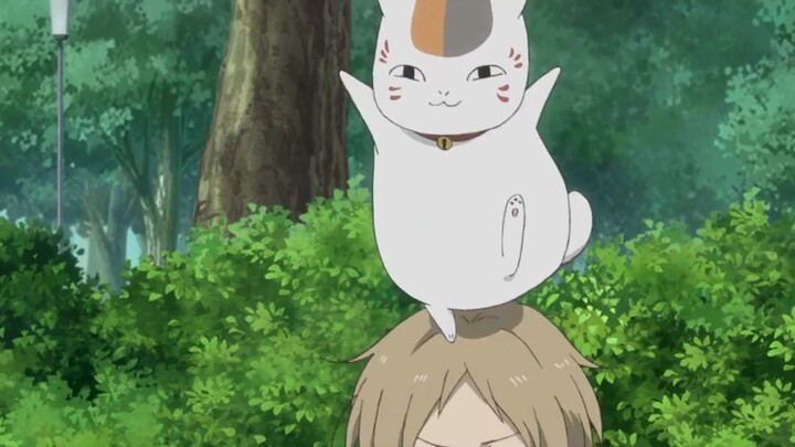 [ Natsume's Book of Friends ] The cat teacher finally has his first believer