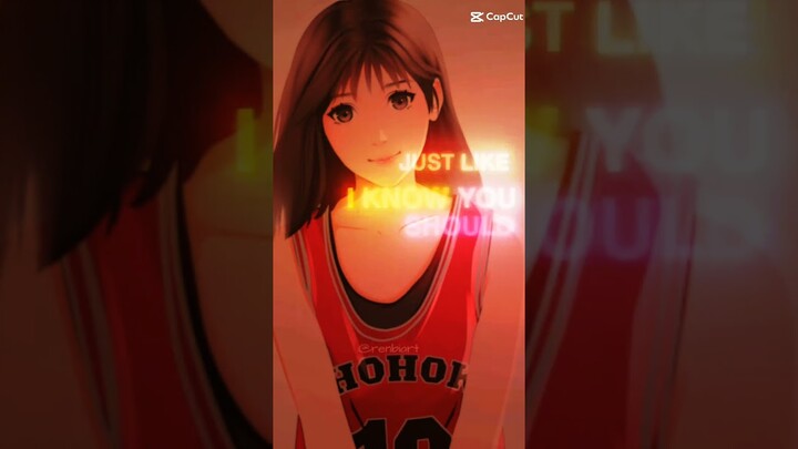 most beautiful girl in slamdunk/haruko