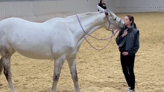 my cute horse