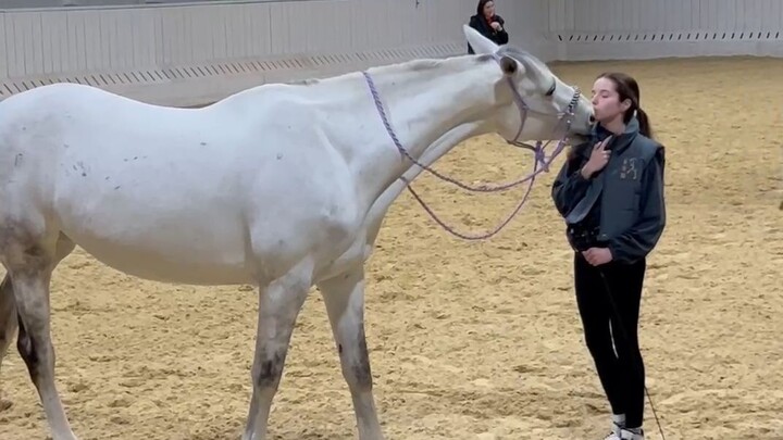 my cute horse