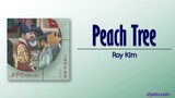 Roy Kim – Peach Tree (그대라는 꽃잎) [Captivating the King OST Part 4] [Rom|Eng Lyric]