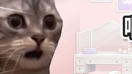 [Cat Meme] มีห้าคนในกลุ่ม ห้าคนกำลังเล่น Star Iron แต่พวกเขาไม่รู้จักกันเหรอ? -