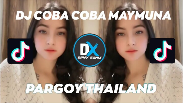 DJ PARGOY COBA COBA MAYMUNA X AKU PILIH MAMA MUDA TUKTOK 2022