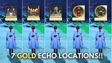 ALL 7 Locations to Get GOLD ECHO !! [ Wuthering Waves ]