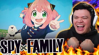 Reacting to SPYXFAMILY Opening & Ending 2 for the FIRST TIME