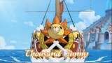 Đặt tên cho con tàu mới - Thousand sunny #onepiece