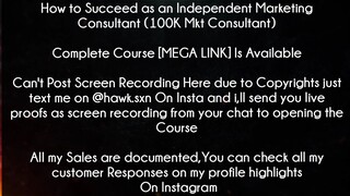 How to Succeed as an Independent Marketing Consultant (100K Mkt Consultant) Course download