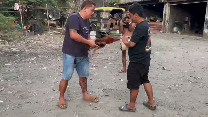Partida mga idol apat tari ngbkalaban natin.