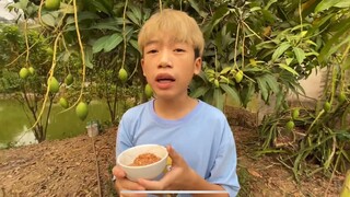 Kelly Vlog || Ăn Cả Cây Xoài Nhà Hàng Xóm