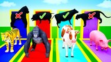 Choose the Right Shadow Animal - Shadow Matching Games | Funny Animals Guess Animal Shadow
