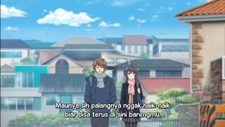 Seishun buta yarou wa : odekake sister no (Sub indo)