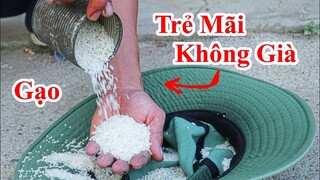 Bí Quyết Giúp Trẻ Mãi Không Già Từ Gạo Khiến Ai Cũng Bất Ngờ / Công Thức Làm Kem Trộn Trắng Da