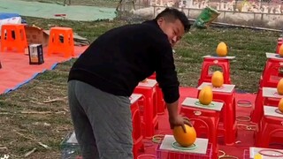 Hôm nay nghiện đập trứng vàng nhưng câu nói cuối cùng của sếp khiến tôi cạn lời