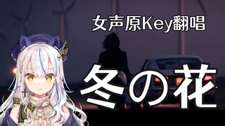 女声原Key超痛怒音翻唱「冬の花」/林莉奈