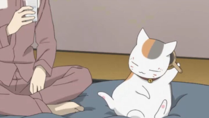 救命，猫咪老师真是越来越猫了啊，居然还给自己梳毛！！！