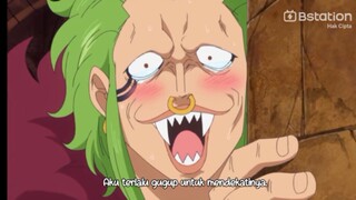 aku adalah Bartolomeo di dunia nyata😍😆