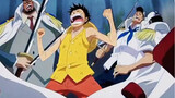 Recognized by everyone from the strong, Luffy has the qualifications to be a king