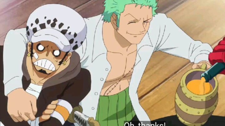 MOMEN LUCU LAW & ZORO