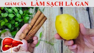 TRÀ TỰ NHIÊN GIẢM CÂN HIỆU QUẢ - LÀM SẠCH LÁ GAN NHIỄM MỠ, MÁU NHIỄM MỠ