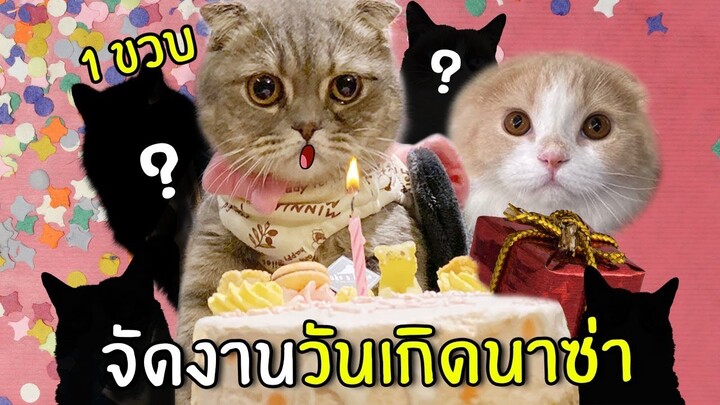 เซอร์ไพรส์จัดงานวันเกิดให้นาซ่าครบ1ขวบ