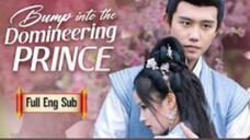 Bump into the D0m!neer!ng PRINCE