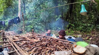 perjalanan ke hulu sungai mencari ikan