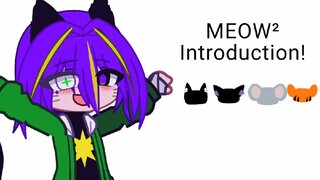 MEOW² Introduction!Part 2