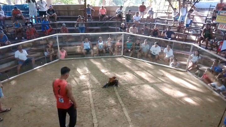2nd fight sa 2hits ulutan winner unscratched