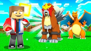 Using BEST Fire Type ONLY Team in Pixelmon!