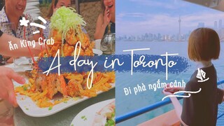 DU HỌC CANADA 🇨🇦 | Roadtrip bằng xe Tesla đi Toronto | A day in Toronto | Vyvu Coco